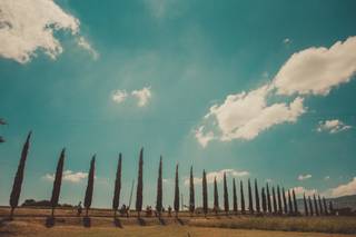 La Tana del Bianconiglio - 6