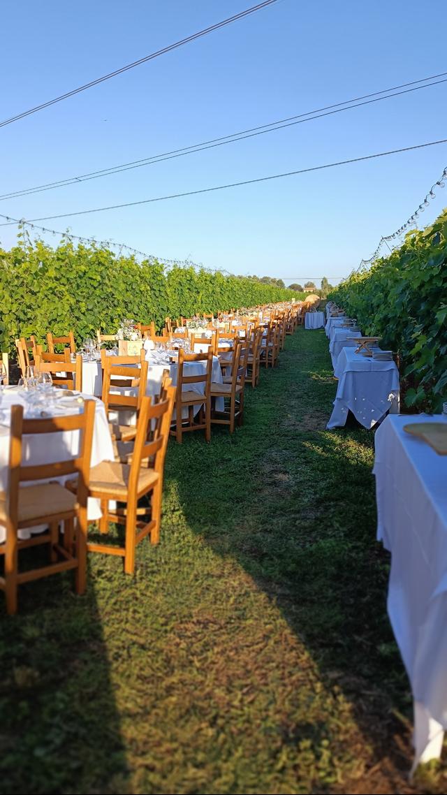 Agriturismo l'Ovile - 2