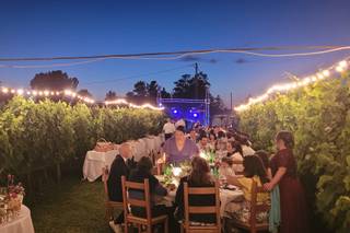 Agriturismo l'Ovile - 7