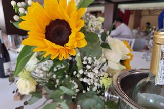 Il Tuo Pollice Verde - 12