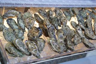 I Love Ostrica - 4