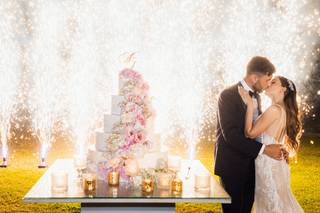 Paradise of fires - 12