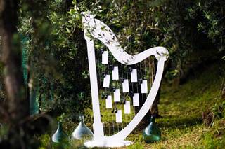 Albero sul lago - 21