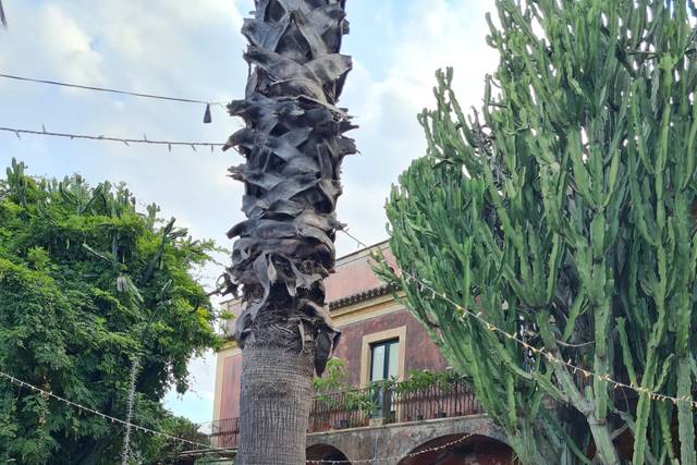 La Canonica Degli Archi 2