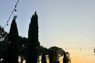 Fattoria Settepassi - 14