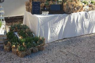 Pasini Flowers and more - 23