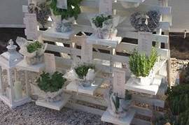 Pasini Flowers and more - 24