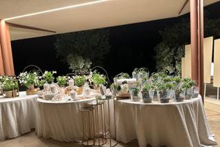 Voglia di Bonsai - 17