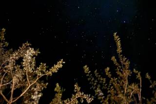 Nessie Viaggi - 8