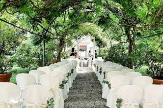 Garden Eden & Poi... - 14