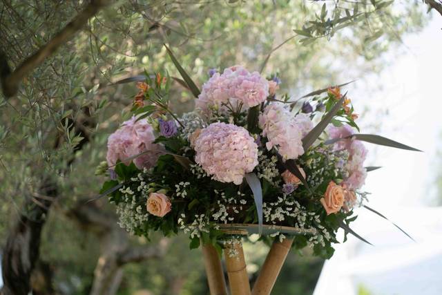 Peony Store 3