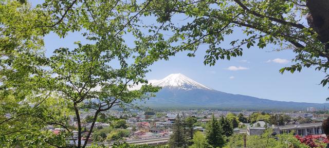 ACI Blueteam SPA - 1