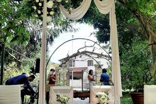 Garden Eden & Poi... - 16