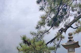 ACI Blueteam SPA - 5