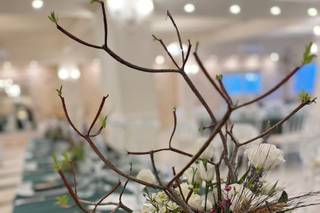 Milleventi Catering - 8