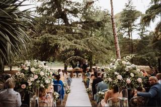 Roberta Cappello Wedding - 10