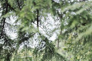 Eugenia Chiodo Atelier - 7