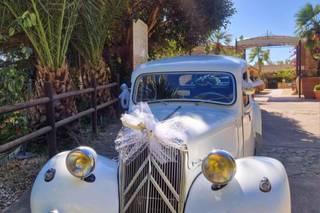 Trinacria Wedding Car - 11