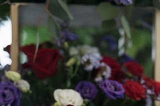 Fantasie Floreali di Barbara Bettarini - 9