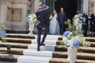 Vivaio di Guardo - 22