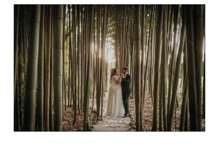 Milco Graziani Wedding Photography - 7