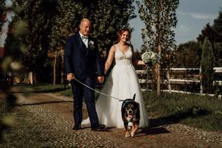 JL Dog Sitter for wedding - 5