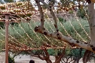 Tenuta Berretta - 15