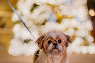 Davide Dusnasco - 37