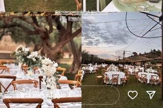 Tenuta Berretta - 16