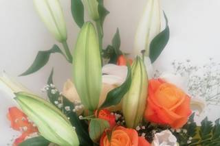 Farenella Fiori - 25