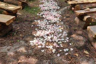 Viarisio & Co. Wedding Planner in Italy - 8