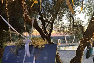 Barbara Faggion Graphic and Event Design - 13