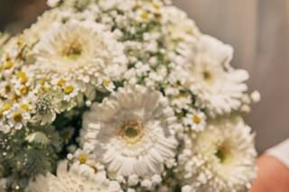 Poppy Decor - 6