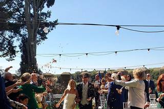 Bottega Floralia - 6