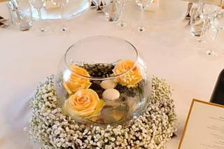 Fiorissimi Group - 7