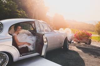 Auto per matrimoni - 6