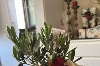 Desideri di Pellegrino Anna - 1