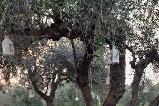 Villa il Granduca - 6