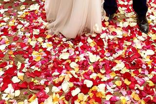 Tarantola Catering - 12