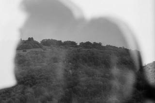 Wild Hearts Studio - 13