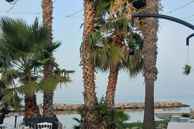 Palm Beach Club 2