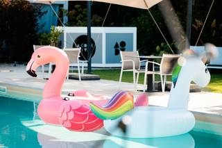 Christian Bardus Photographer - 12