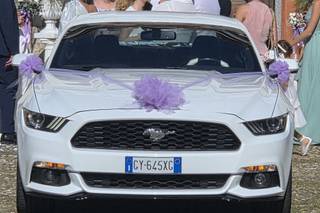 Mustang Rent di Michele Motta - 8