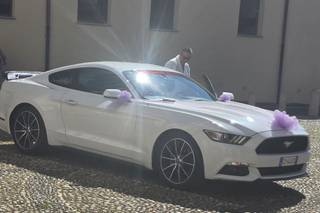 Mustang Rent di Michele Motta - 9