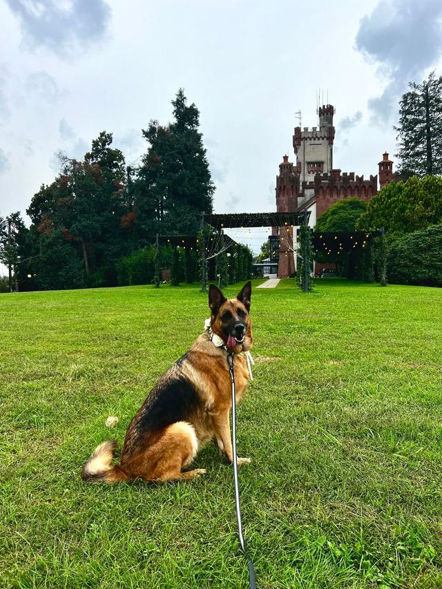 Che vita da cane - 1