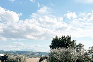 Flowers di Chiara - 11