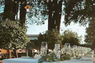 Flowers di Chiara - 12