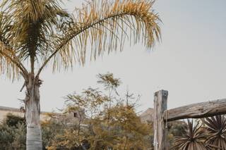 Tommaso D'Angelo Photography - 6