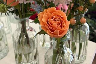 Petali e Spine - 6