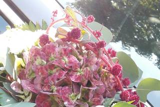 Semplicemente Susy Art & Vegetal Design - 9